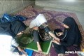 عملکرد مرکز بهداشت شهرستان راور در هفته سالمند 