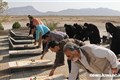 عملکرد مرکز بهداشت شهرستان راور در هفته سالمند 