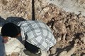 بازدید کارشناسان بهداشتی از منطقه لکرکوه شهرستان راور 