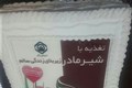 کارگاه آموزشی "تماس پوست با پوست شیردهی در ساعت اول تولد" برگزار شد