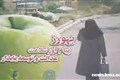 ویدئو کنفرانس برنامه سالمندان با موضوع "نقش تغذیه در بیماران با فرسایش مغز" 