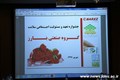 بازدید مسئولان SDH دانشگاه های قطب از کارخانه لاستیک بارز کرمان97.6.22