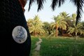 اردوی جهادی - ریگان