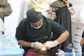 اردوی جهادی - ریگان