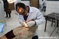 آغاز طرح دهان و دندان عاری از پوسیدگی دانش آموزان پایه ششم ابتدایی در کرمان 