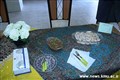 برگزاری جشنواره غذا و شیرینی سنتی 97.10.22