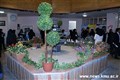 برگزاری جشنواره غذا و شیرینی سنتی 97.10.22