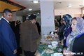 برگزاری جشنواره غذا و شیرینی سنتی 97.10.22