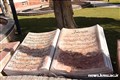 با هماهنگی مرکز بهداشت شهرستان کرمان صورت پذیرفت،