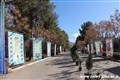 بازدید مردم و مسوولان از غرفه دانشگاه علوم پزشکی کرمان در نمایشگاه دستاوردهای چهلمین سالگرد پیروزی انقلاب اسلامی97.11.13