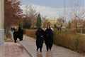مراسم پیاده روی کارکنان در پردیس دانشگاه