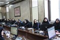 برگزاری کارگاه آموزشی مراقبت های ادغام یافته سلامت مادران 
