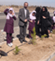 درختکاری در پردیزه دانشگاه