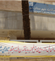  برگزاري روزجهاني تالاسمي 18 ارديبهشت 