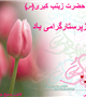 ولادت حضرت زینب کبری(س) و روز پرستار گرامی باد