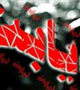 همایش دیابت برگزار می شود