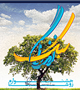 سومین جشنواره فرهنگی روشنا در حال برگزاری می باشد