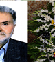 خیر شهیر حوزه درمان و بهداشت سیرجان درگذشت 
