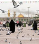 اطلاعیه شورای عمره و عتبات دانشگاهیان استان کرمان