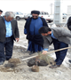مراسم روز درختکاری در مرکز بهداشت این شهرستان