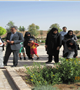 بازدید علمی دانشجویان PH.D دانشکده طب سنتی از باغ گیاهان دارویی فتح آباد 