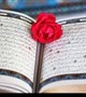 کتابخانه تخصصی قرآن و عترت (ع) دانشگاه علوم پزشکی کرمان آغاز به کار کرد