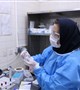 برگزاری مانورانتقال ایمن نمونه سالمونلا پاراتیفی به مرکز بهداشت استان کرمان