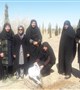 مشارکت کارکنان مرکز بهداشت کرمان در طرح کاشت یک نهال برای هر شهید
