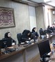 ویدئو کنفرانس آموزشی با موضوع پدیکولوزیس مرکز بهداشت شهرستان کرمان برگزار شد
