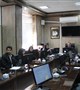 کمیته برون بخشی لیشمانیوز جلدی تشکیل شد