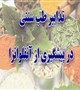 تدابیر طب سنتی ایرانی در پیشگیری از آنفلوانزا