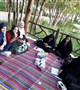 برگزاری دورهمی با عنوان « بهار جوانی»