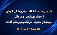 بازدید گلباف وزارت